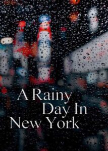 A Rainy Day in New York 