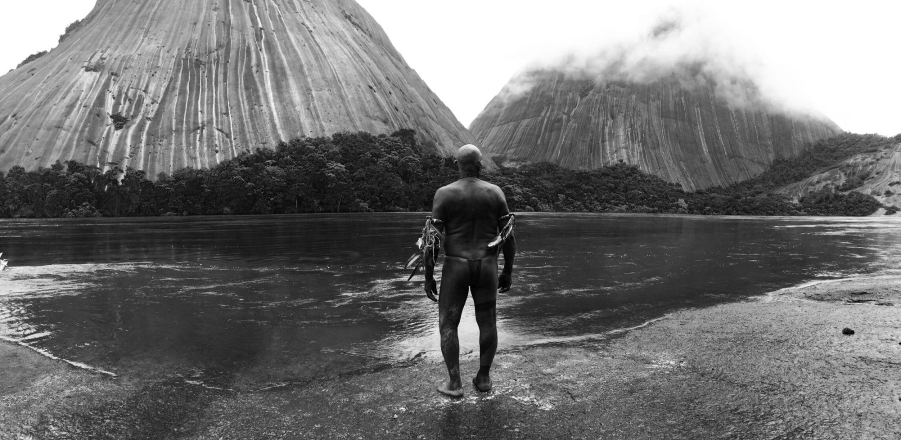 Jaime Pereira