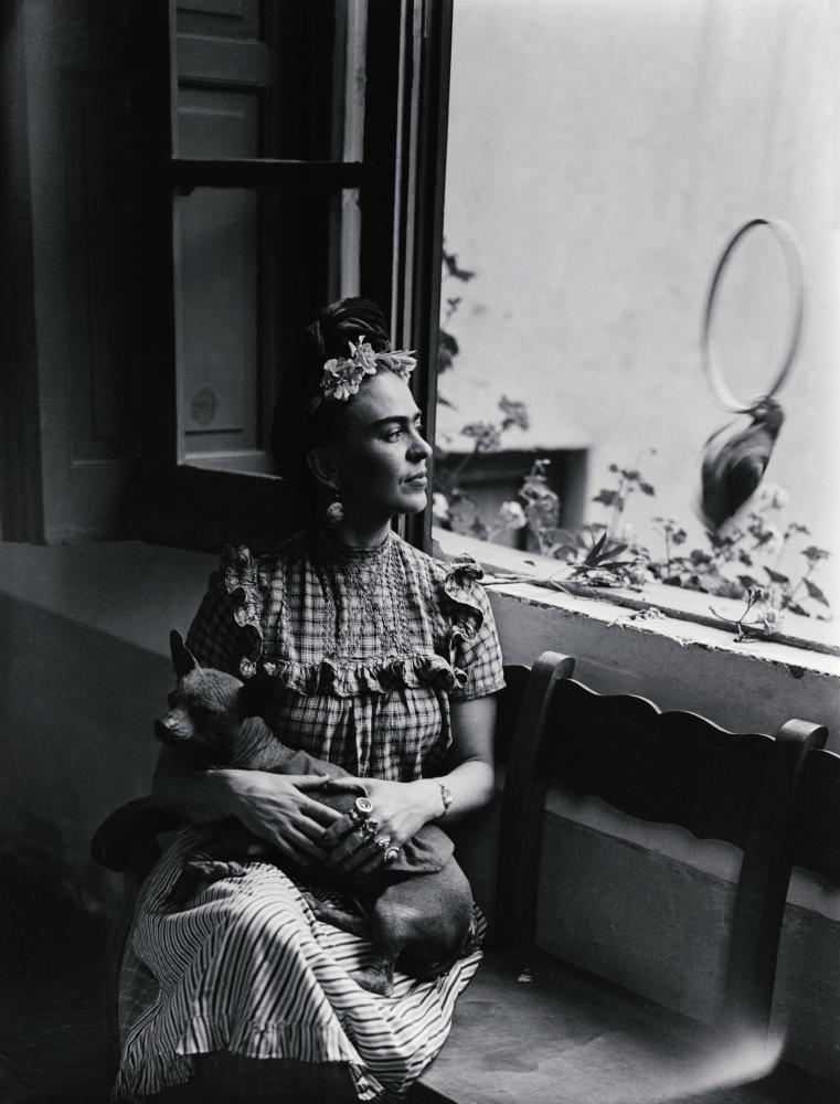 Manuel Cruz Vivas